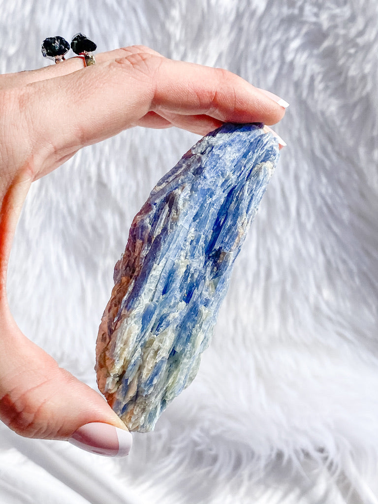 Blue Kyanite with Mica and Quartz Natural | X Large